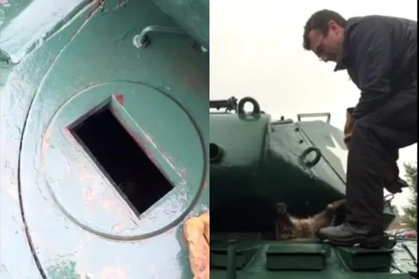 浣熊偷车?卡在坦克车上动弹不得 看这个军人怎么收拾牠!