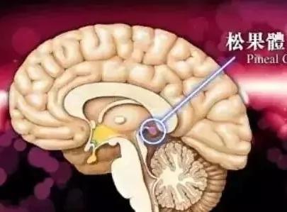 睡觉的“这一个小习惯”,竟然会让你致癌!很多人都有这个习惯!