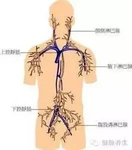 这三处的淋巴,决定生死,没事常摸摸它... 图