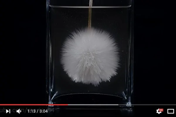 藉由物理特性，可讓玻璃瓶內的透明液體在室溫下迅速結冰。（視頻擷圖）
