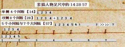 达芬奇《维特鲁威人》的数字之谜