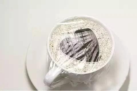 盆栽绝技:火龙果种子盆栽 就是这么种出来的
