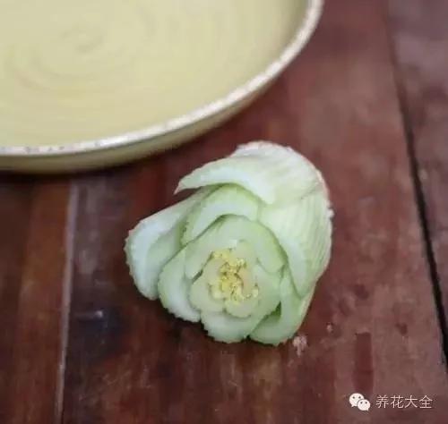 盆栽新手必学 我把这8种菜种进花盆 一个冬天没买菜