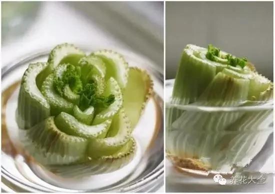 盆栽新手必学 我把这8种菜种进花盆 一个冬天没买菜