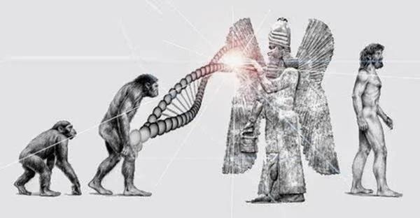 科学研究声称人类DNA基因里有外星人的讯息编码