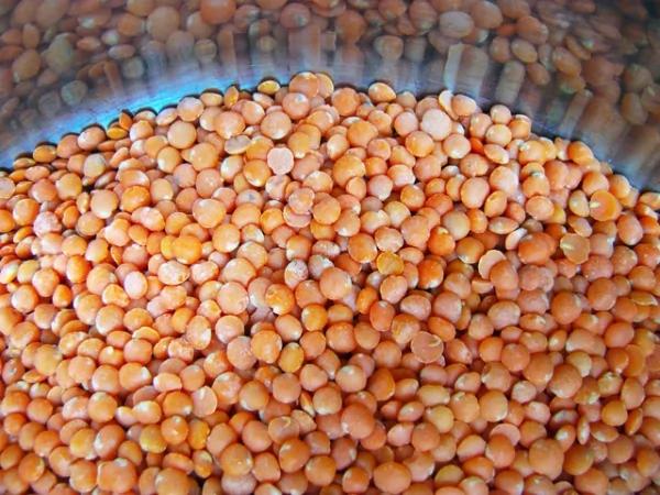8种经济的超级食物的替代品... 图集