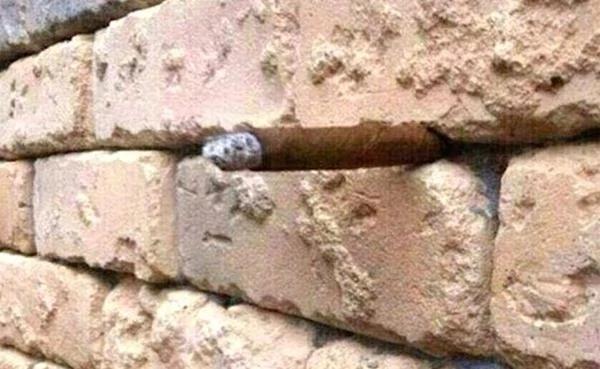 10张难得一遇的错觉照片 刚开始没看懂…… 图集