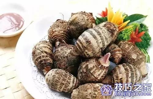 收下这30个生活小窍门,过日子越来越简单了!图集
