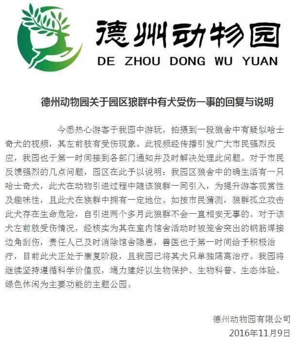 动物园狼舍现哈士奇 园方:它在狼群拥有地位