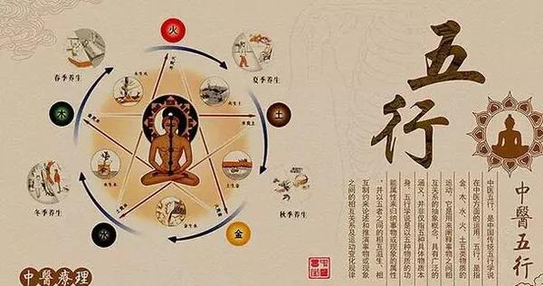 仁、义、礼、智、信对内脏的影响