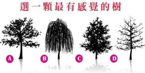 选一棵最有感觉的树 看出你内心最依赖谁?