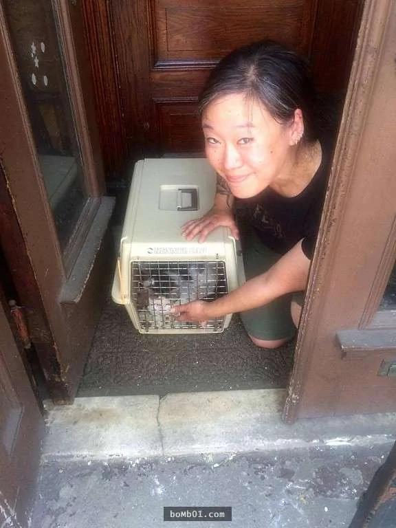 心都碎了!遭主人连猫砂盆都扫出去的猫咪呆坐狂哭2小时