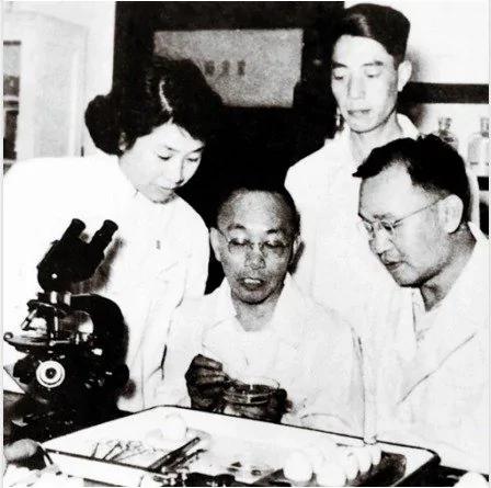 中国科学史一大丑闻:离诺贝尔奖最近的英雄!