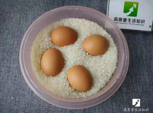 她把鸡蛋放到大米里 原来是为了这个…