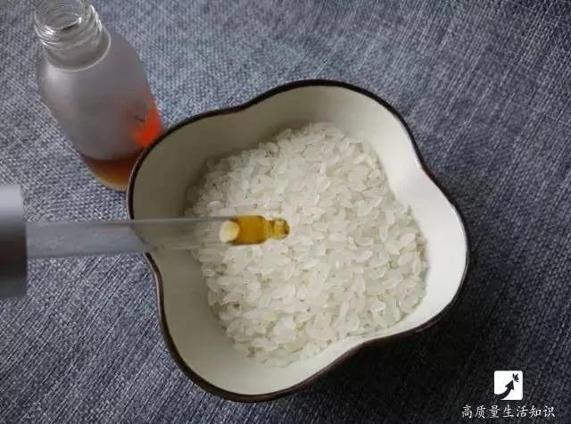她把鸡蛋放到大米里 原来是为了这个…