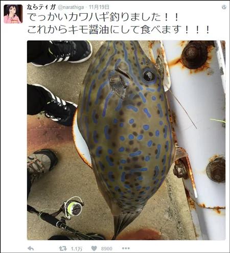 日网友钓到剧毒鱼 经网友提醒捡回一条命