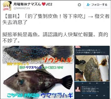日网友钓到剧毒鱼 经网友提醒捡回一条命