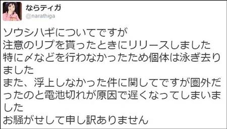 日网友钓到剧毒鱼 经网友提醒捡回一条命