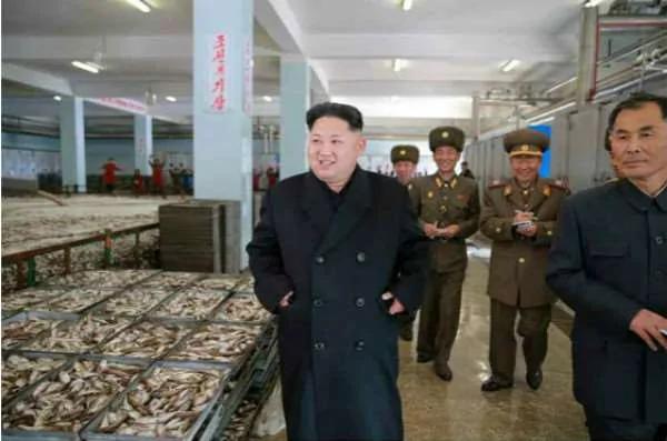 太爱吃鱼?!金正恩居然下令“每个人民身上都要散发著鱼腥味!”