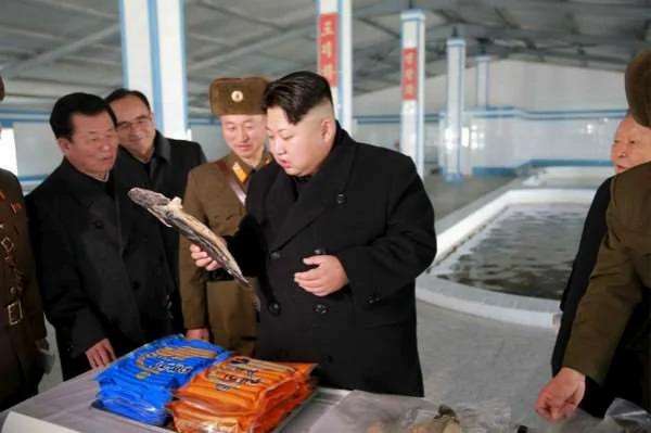 太爱吃鱼?!金正恩居然下令“每个人民身上都要散发著鱼腥味!”