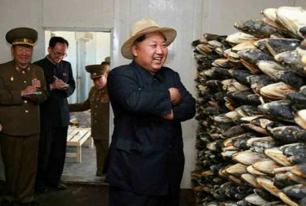 太爱吃鱼?!金正恩居然下令“每个人民身上都要散发著鱼腥味!”