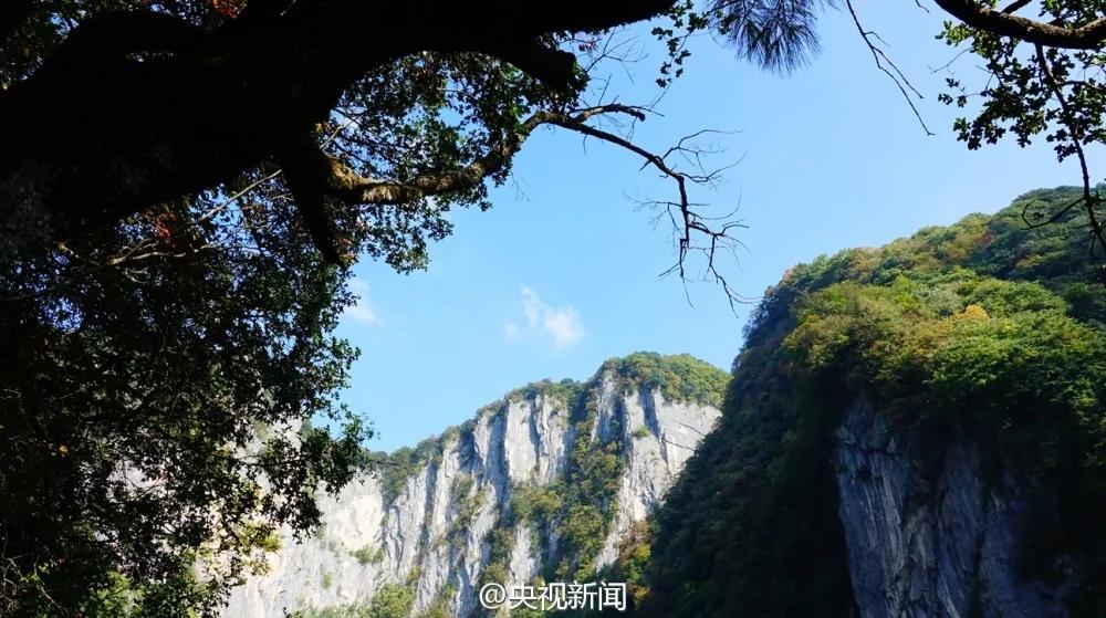 绝美地貌景色!陕西汉中发现世界级天坑群