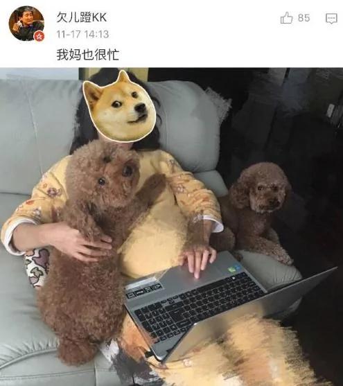父母一开始说 家里不让养宠物 结果…