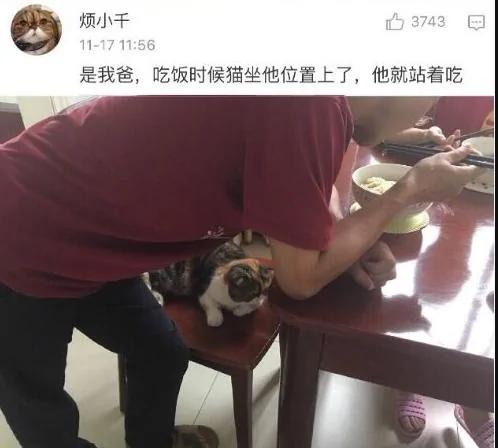 父母一开始说 家里不让养宠物 结果…