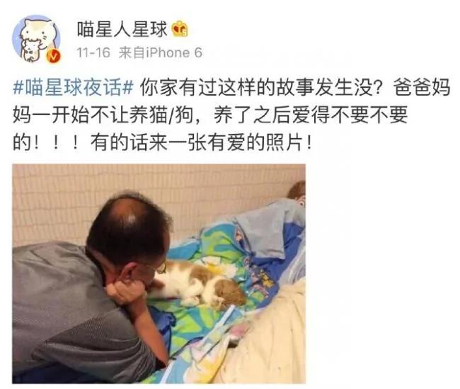 父母一开始说 家里不让养宠物 结果…