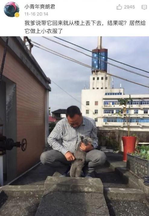 父母一开始说 家里不让养宠物 结果…