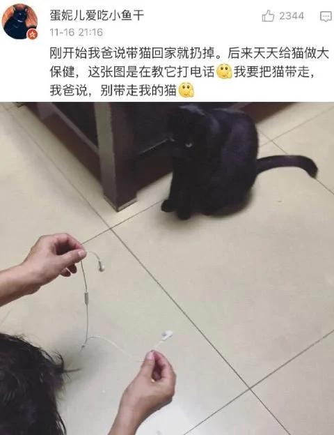 父母一开始说 家里不让养宠物 结果…