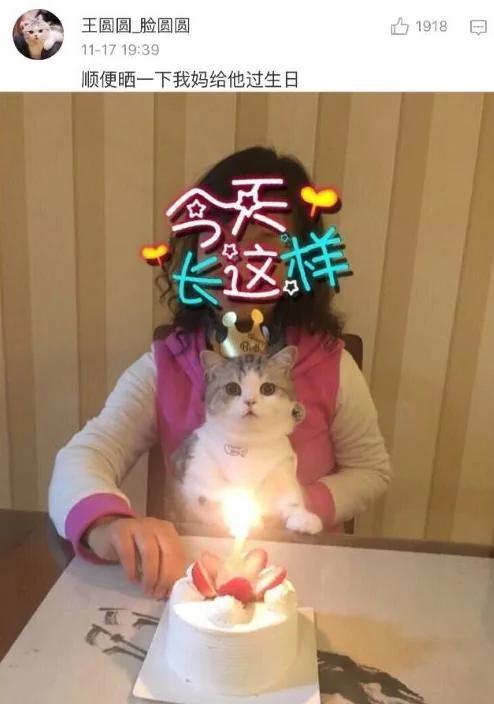 父母一开始说 家里不让养宠物 结果…