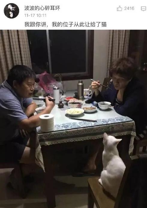 父母一开始说 家里不让养宠物 结果…