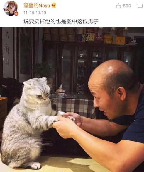 父母一开始说 家里不让养宠物 结果…