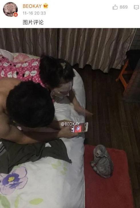 父母一开始说 家里不让养宠物 结果…