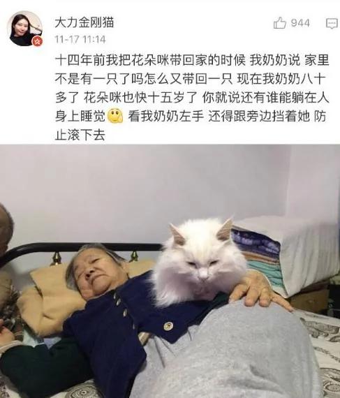 父母一开始说 家里不让养宠物 结果…