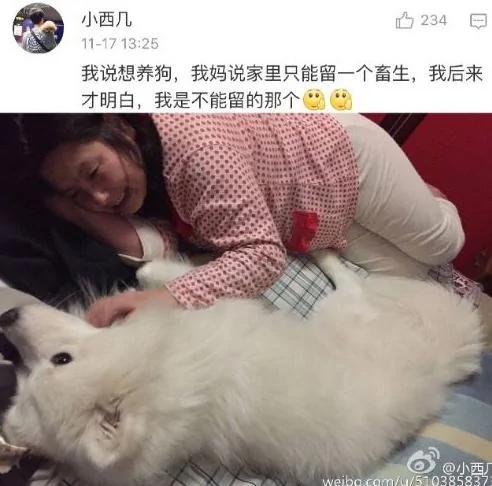 父母一开始说 家里不让养宠物 结果…