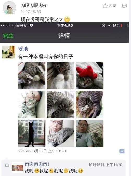 父母一开始说 家里不让养宠物 结果…