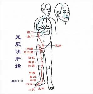肚脐下冷是宫寒 肩上冷是什么你知道吗?