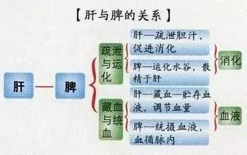 百病从肝治 肝脏保健方法汇总