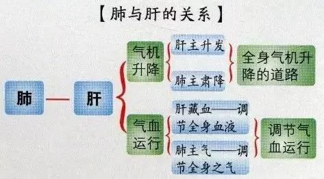 百病从肝治 肝脏保健方法汇总