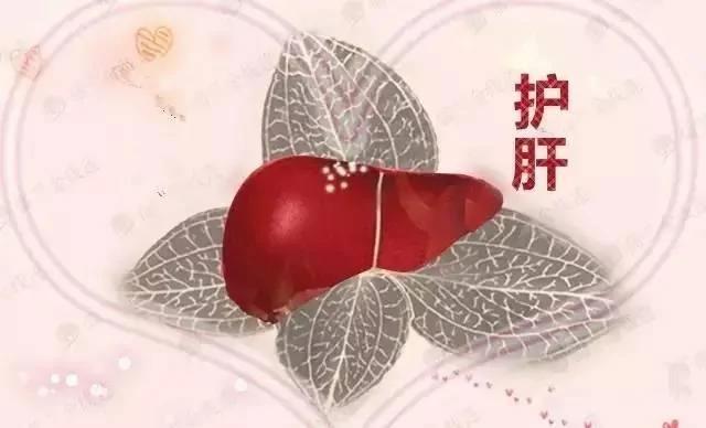 百病从肝治 肝脏保健方法汇总