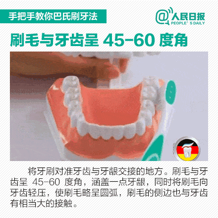 每天坚持刷牙 牙齿还是一颗颗地掉 原因是… 动