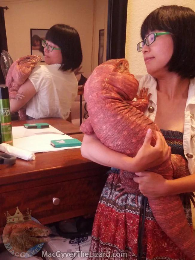 加州华裔女养宠物巨蜥成网红 蜥粉上百万