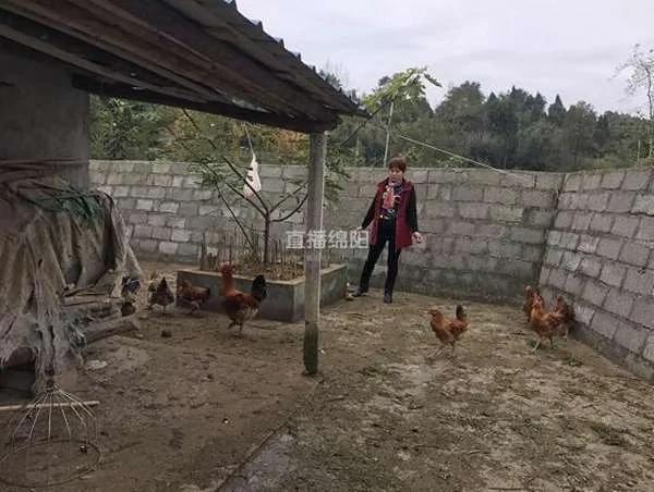 大妈宰了老母鸡想进补 却在鸡肚里看到这“惊人的东西”