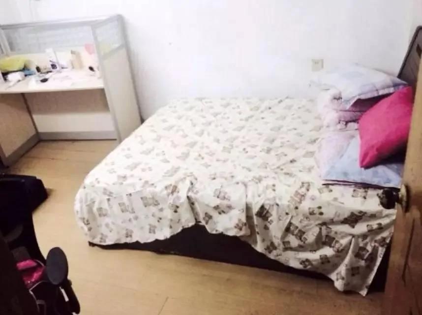 美术女教师爆改出租房 破旧民房美成一幅画…