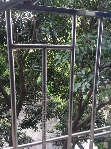 美术女教师爆改出租房 破旧民房美成一幅画…