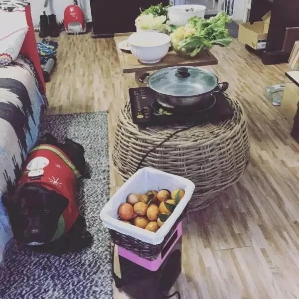 美术女教师爆改出租房 破旧民房美成一幅画…