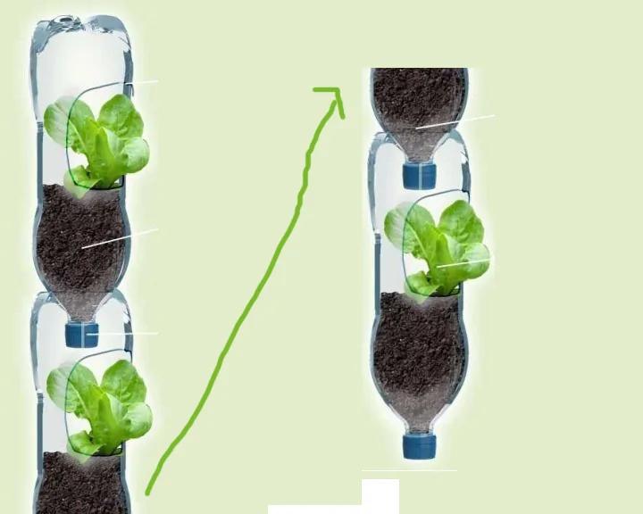 零成本 塑料瓶超级种菜大法 温室 补水 盆栽 沤肥一步到位