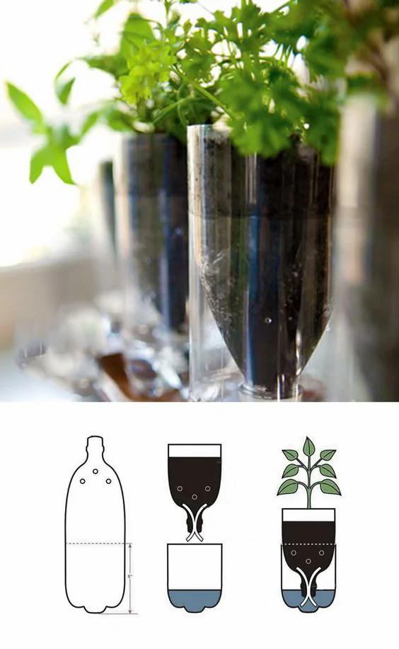 零成本 塑料瓶超级种菜大法 温室 补水 盆栽 沤肥一步到位